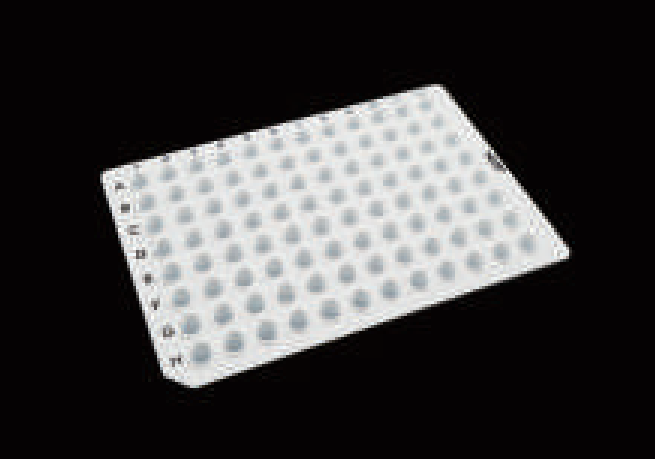 PCR 96 Well Plate1