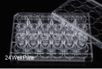 Cell Culture Insert