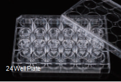 Cell Culture Insert