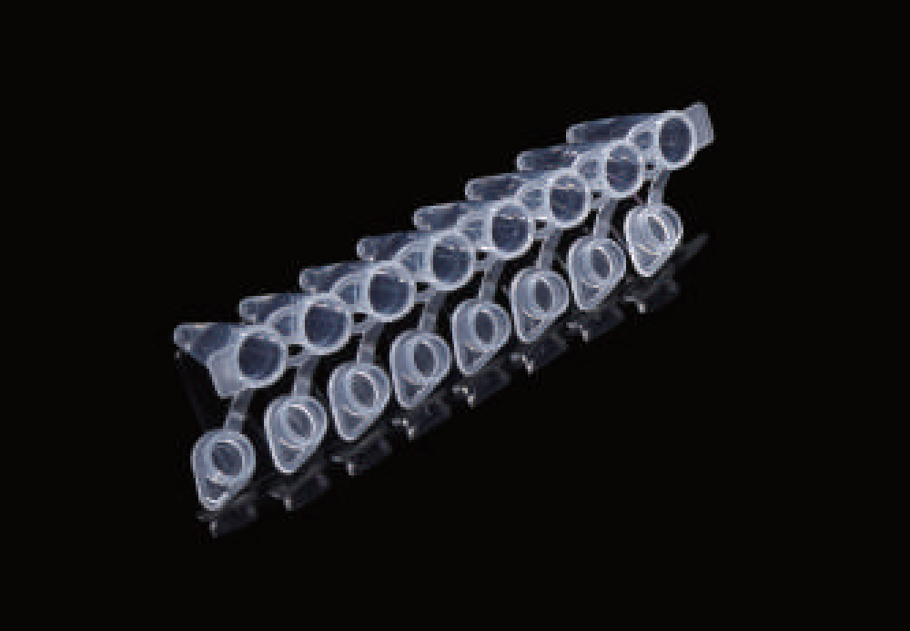 8-Strip PCR Tube & Tube & Cap