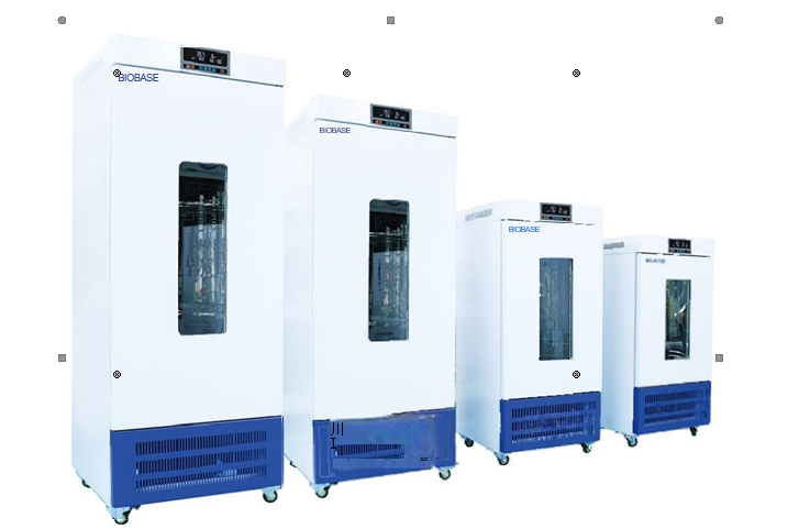 Biobase Constant Temperature and Humidity Incubator for Laboratory