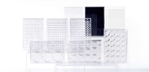 Cell Culture Plate