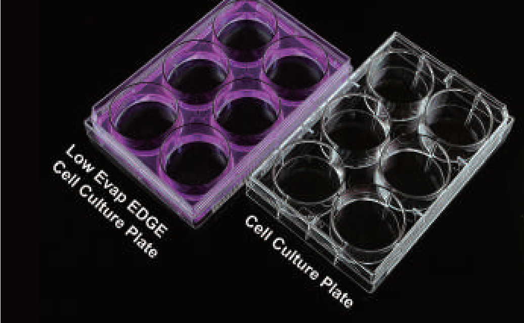 Cell Culture Plate