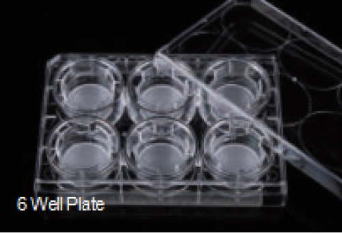 Cell Culture Insert