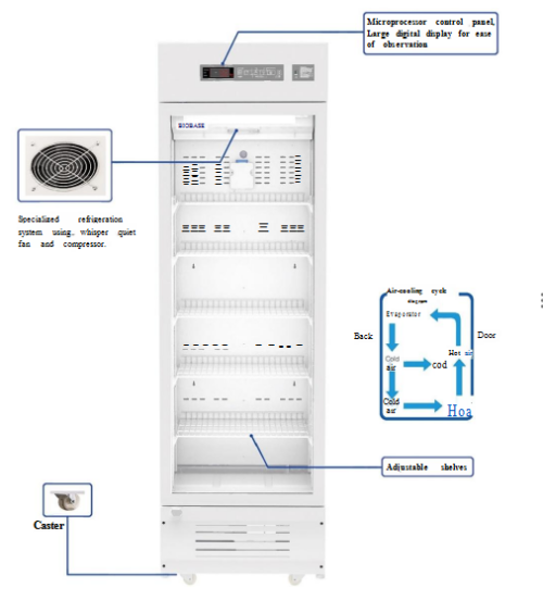 Laboratory Refrigerator(2-8℃)