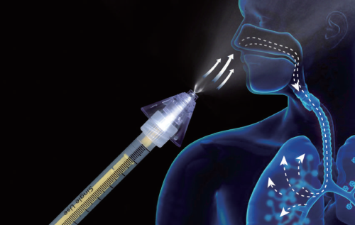 Disposable Intranasal Atomization Device1